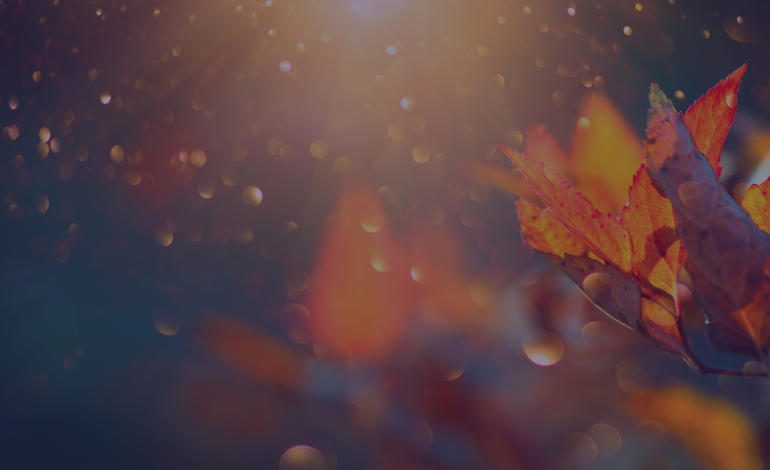 CBSHS is transforming lives statewide and beyond