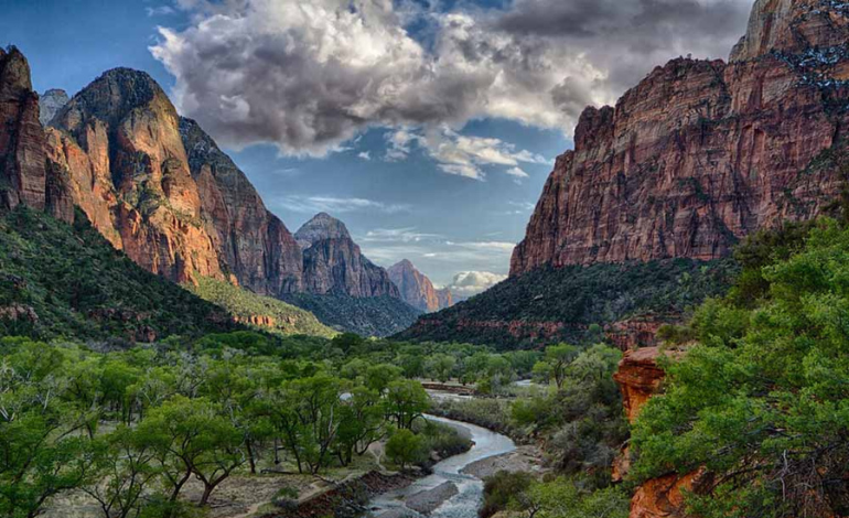 Director of Clemson University Institute for Parks receives highest professional honor for interpretation