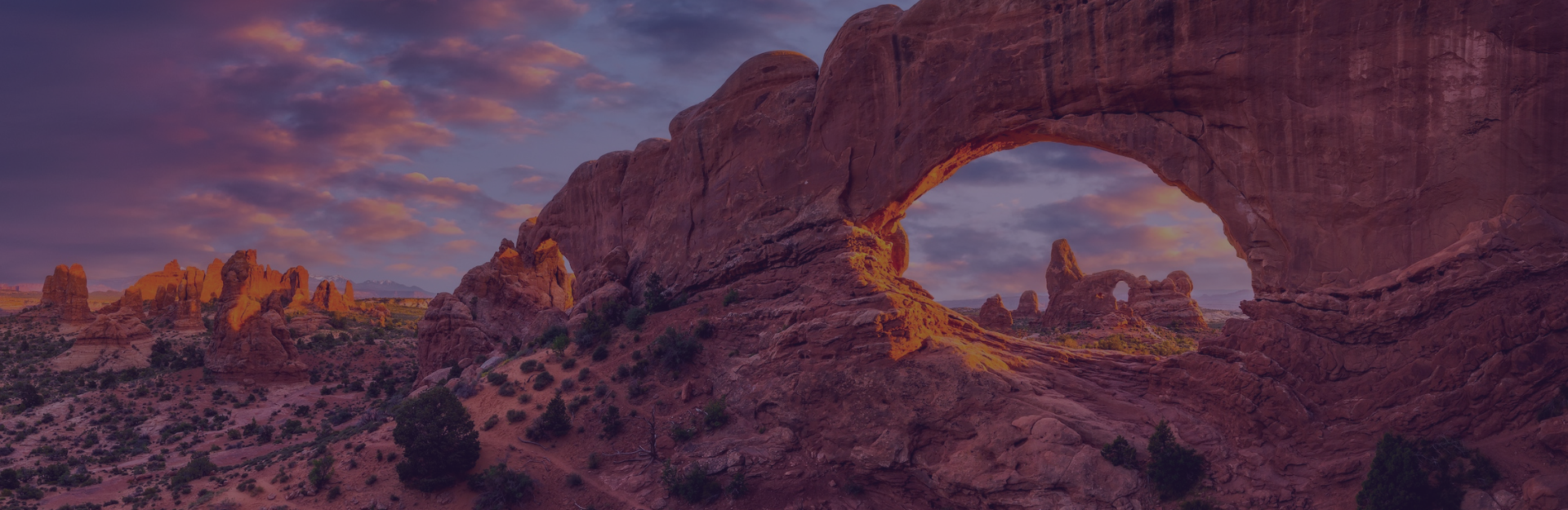 Hidden treasures of America’s national parks are closer than you might think
