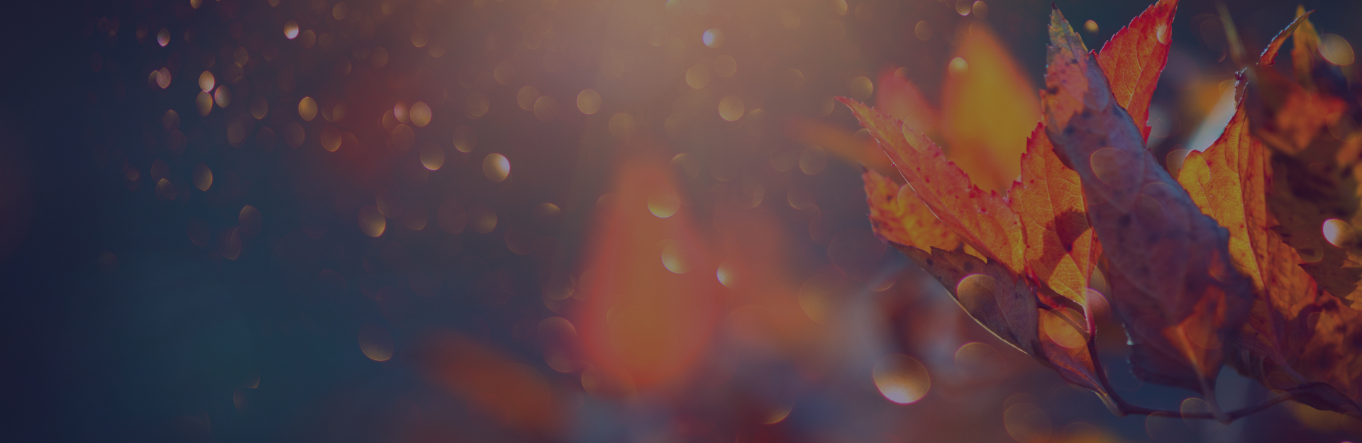 CBSHS is transforming lives statewide and beyond