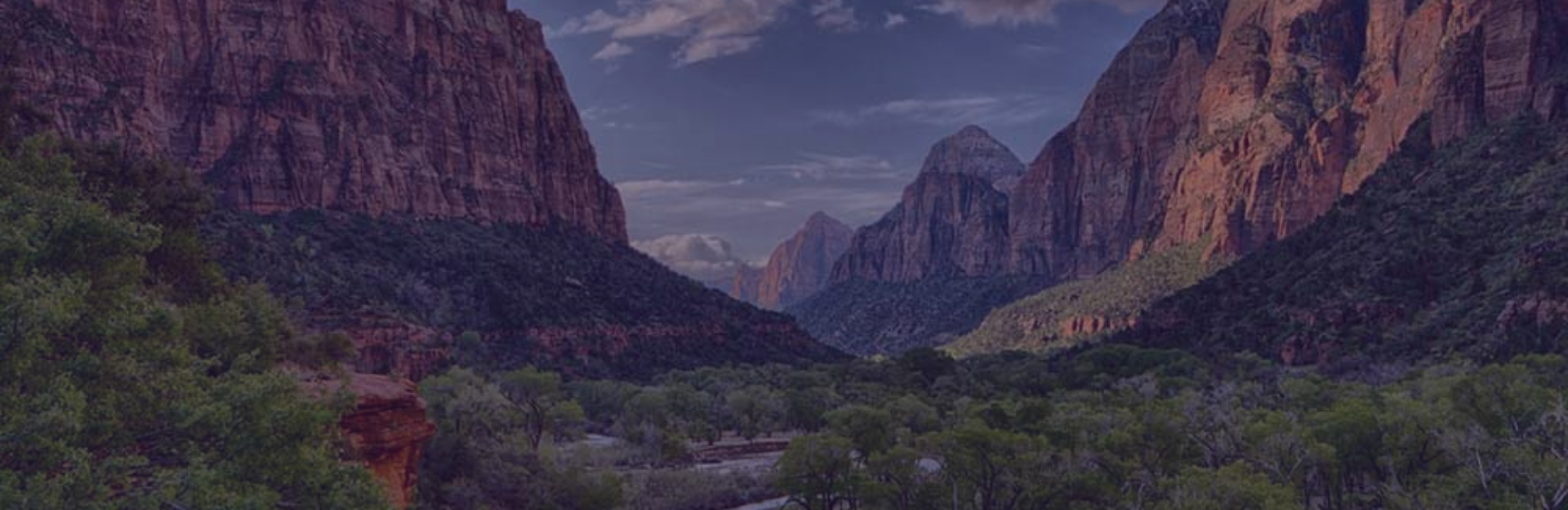 Director of Clemson University Institute for Parks receives highest professional honor for interpretation