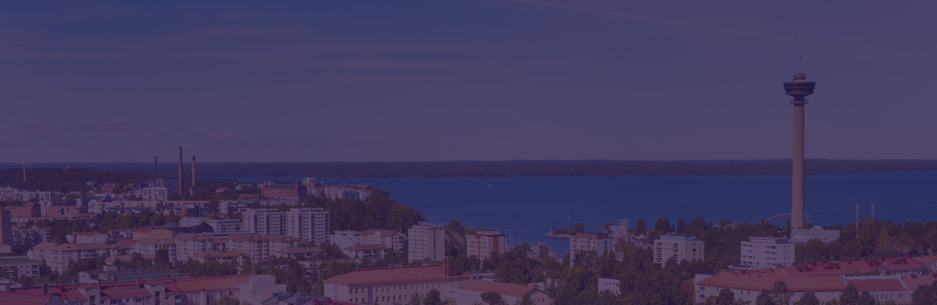 Clemson lecturer completes Fulbright Specialist Program in collaboration with Finland institution, applies global perspectives to Clemson courses