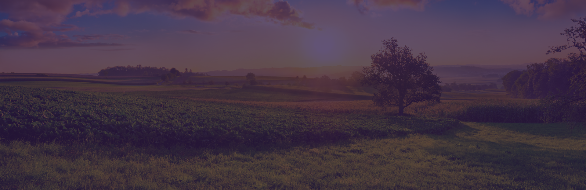 Clemson Rural Health receives $7.7M Maternal Care Access Grant to improve care of mothers and babies in South Carolina