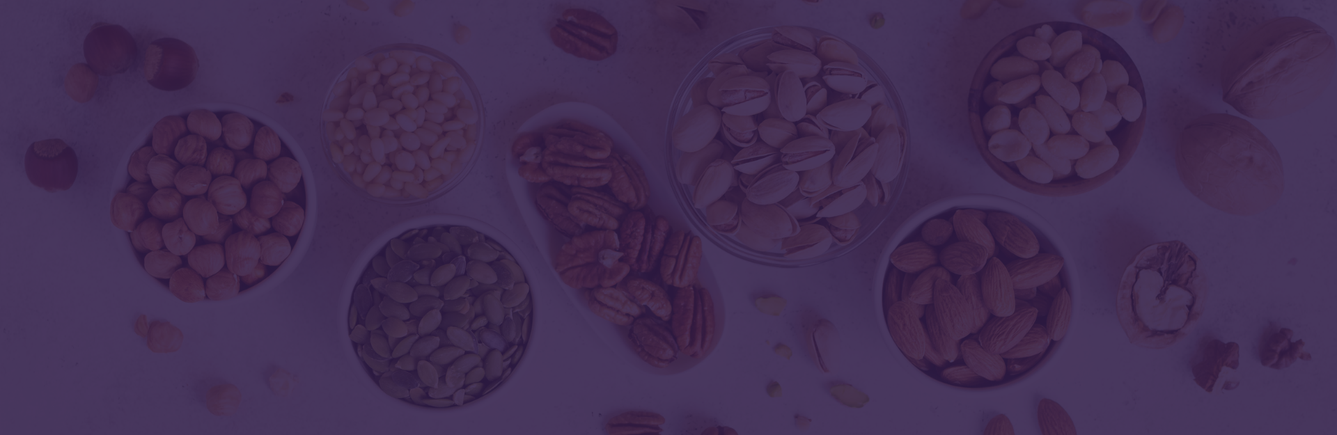 Clemson Rural Health launches first-of-its-kind Protein Rx program to address malnutrition in Upstate South Carolina
