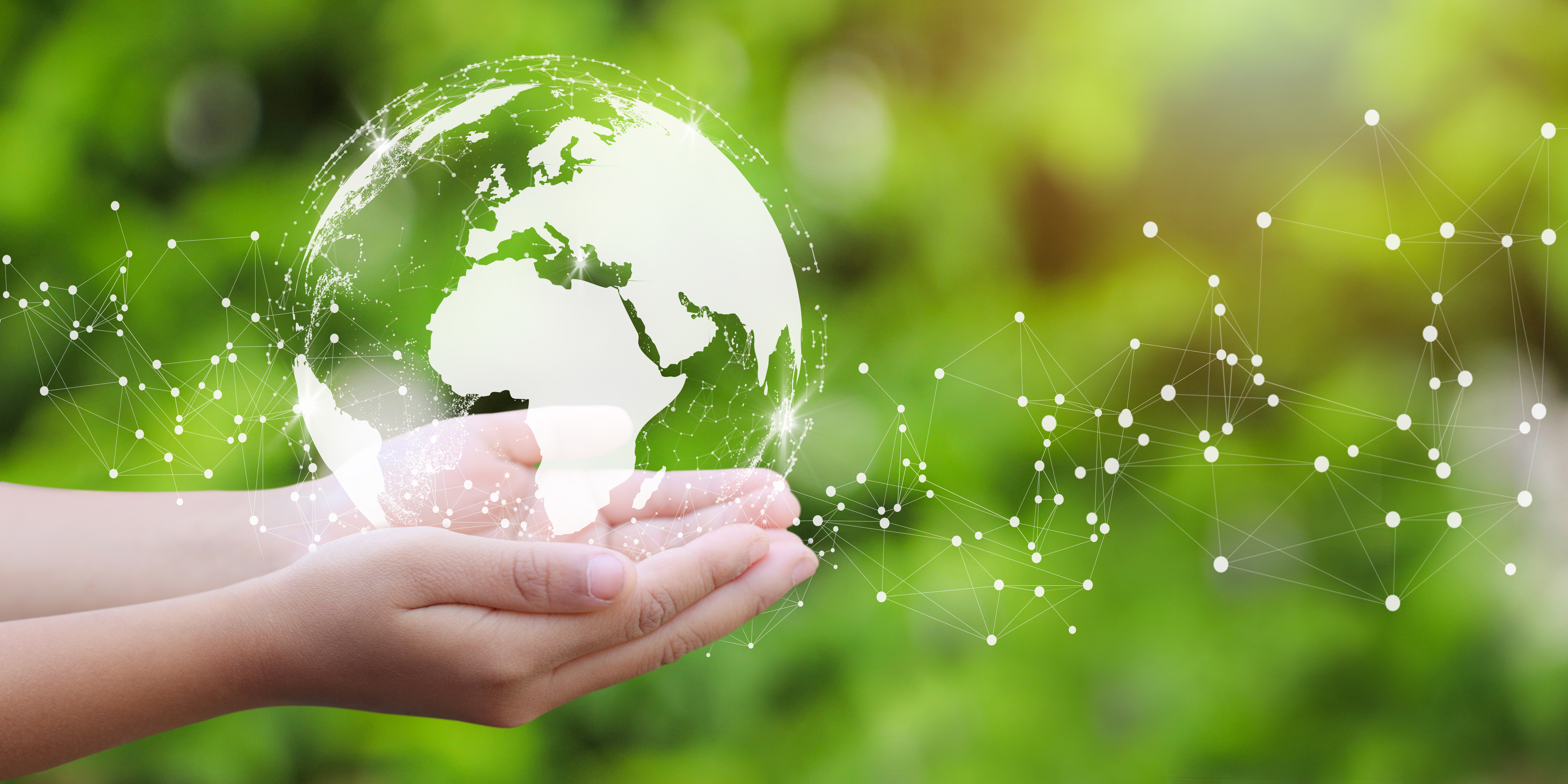 Person holding globe
