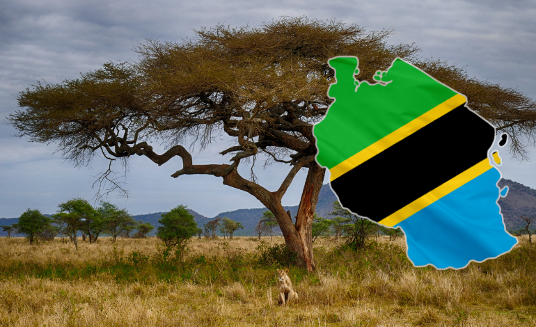 Tanzania Banner