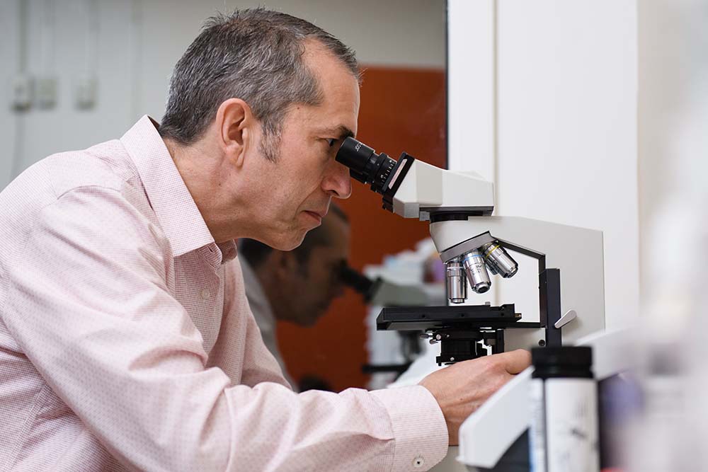 Clemson Rural Health researcher looking in a microscope