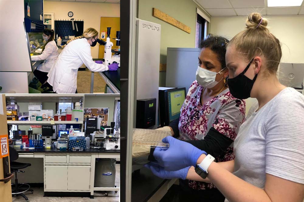 Healthcare Genetics and Genomics Laboratory
