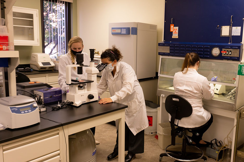 Student earning her Ph.D. in Healthcare Genetics program within the Clemson University School of Nursing