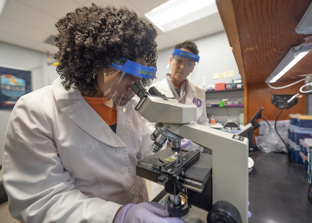 Clemson Nursing Student doing lab research