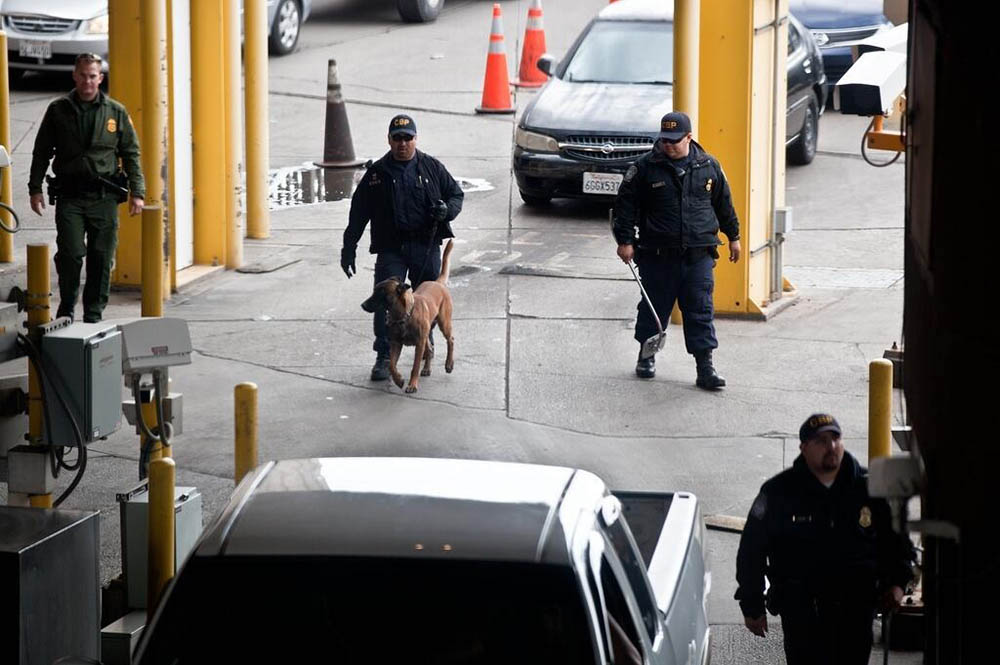 Image of officers and drug dogs at the US border