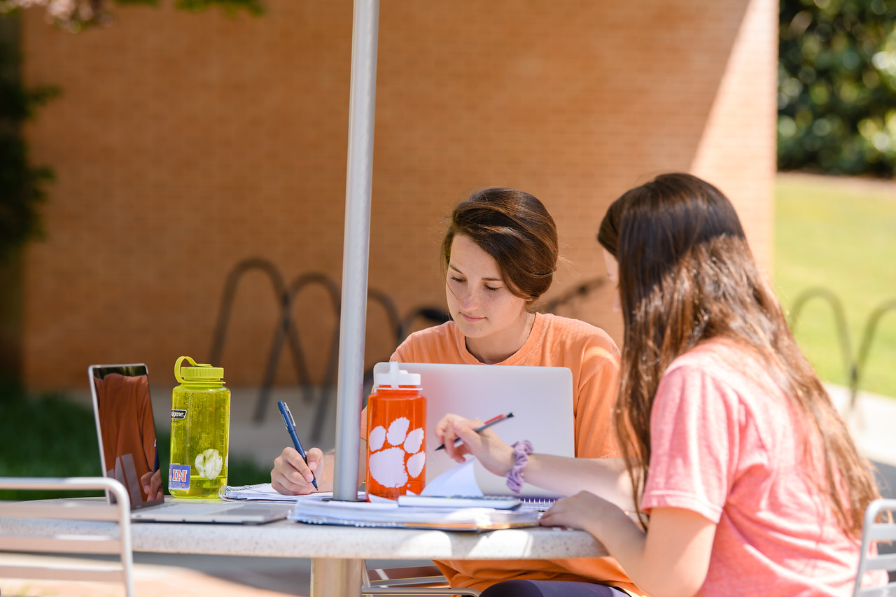 clemson-studentonlaptop.jpg