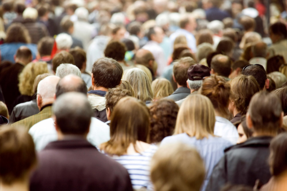 Generic shot of the backs of peoples' heads