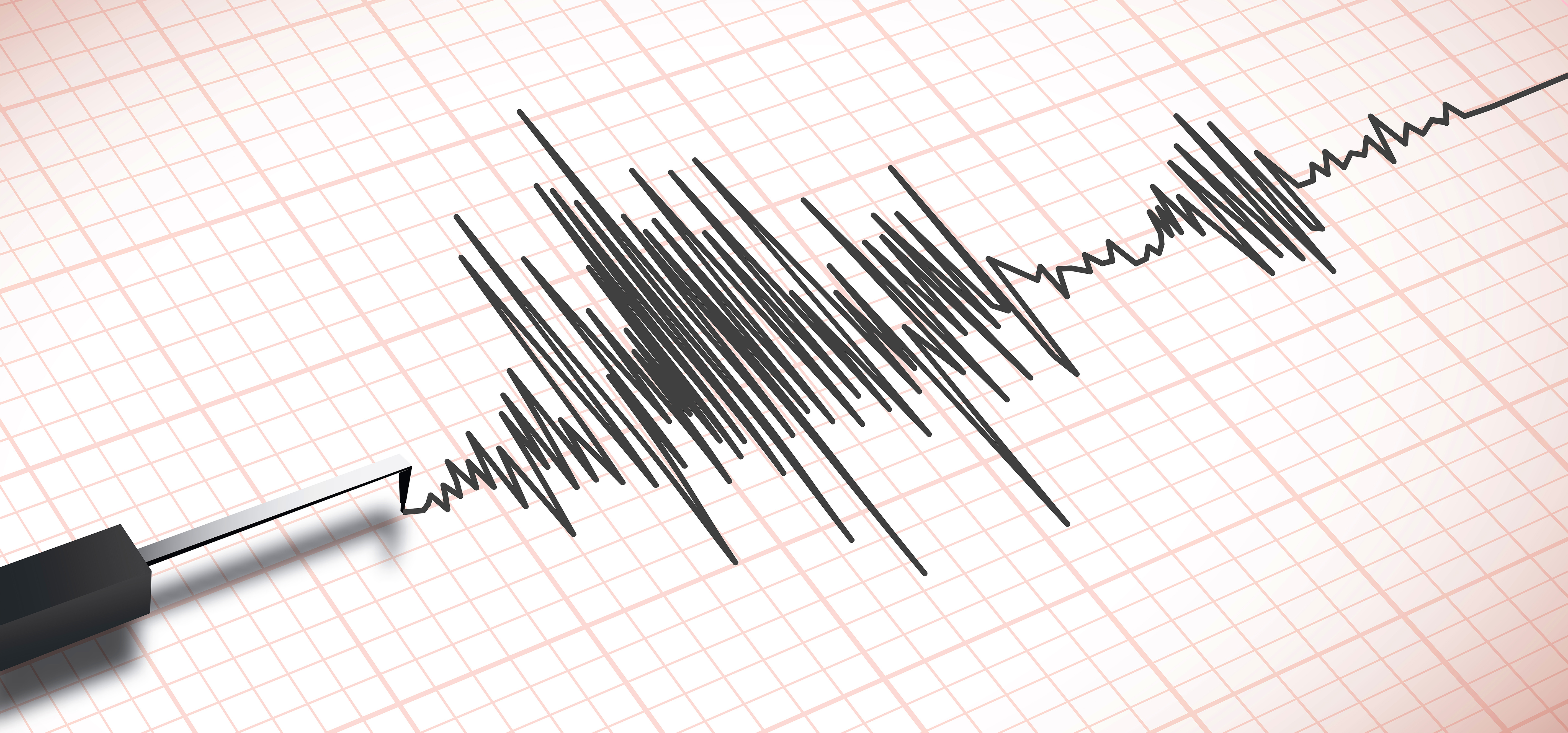 polygraph test results