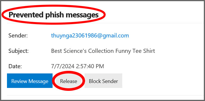 Email alert showing "Prevented phishing messages" with options to Review Message, Release, or Block Sender.