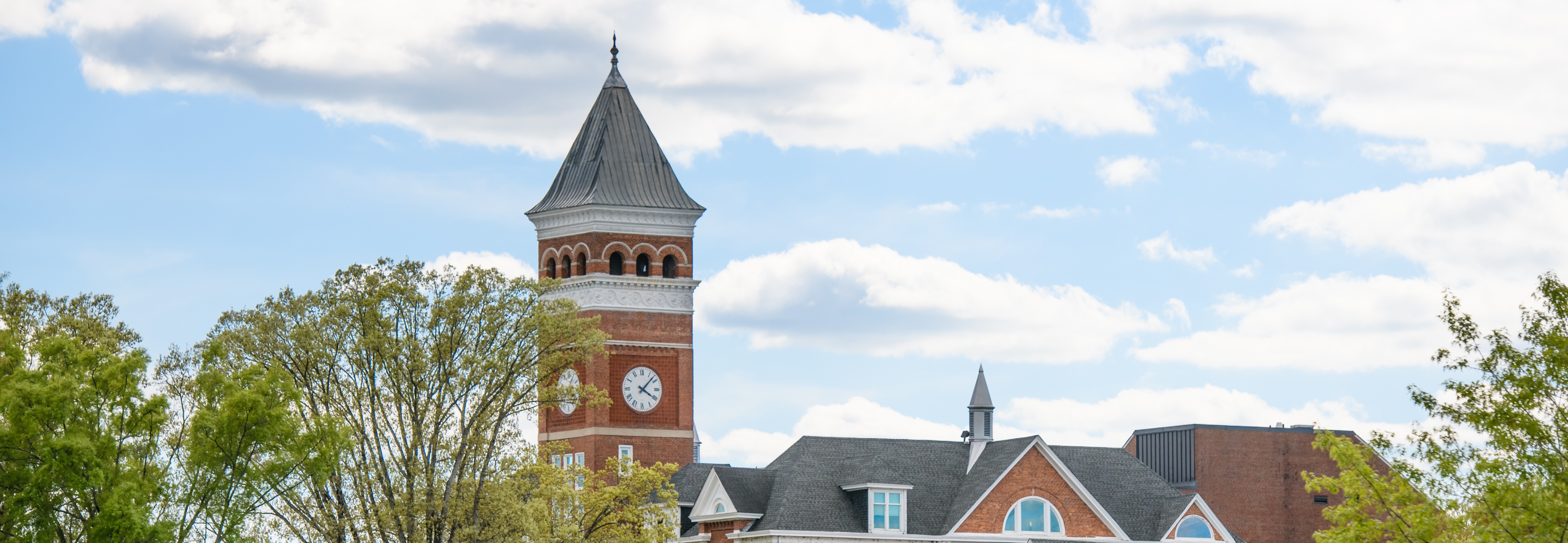 Tree tops infront of the top of the Tillman Hall bell tower.