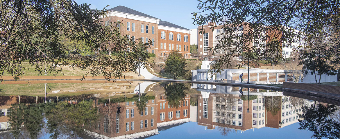 Clemson University Commissions