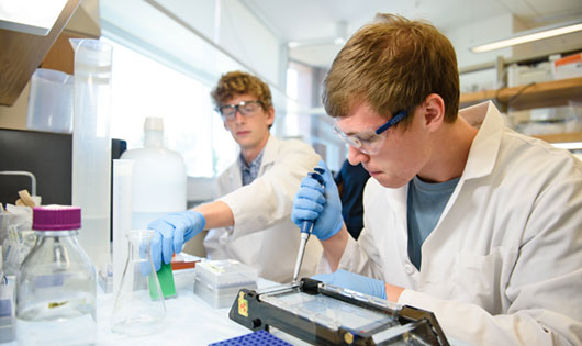 2 Students pipetting in lab