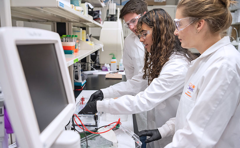 Students in a bioengineering research lab.