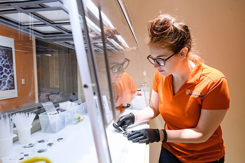 Student in orange at lab hood