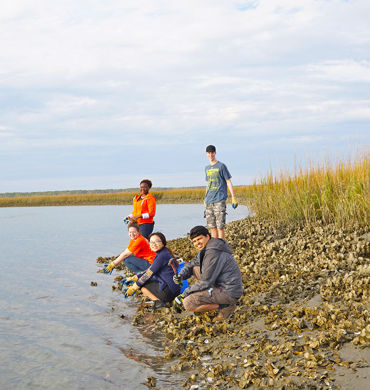 Creative Inquiry oyster research