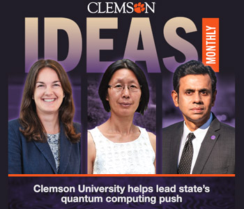 IDEAS February 2026 Preview