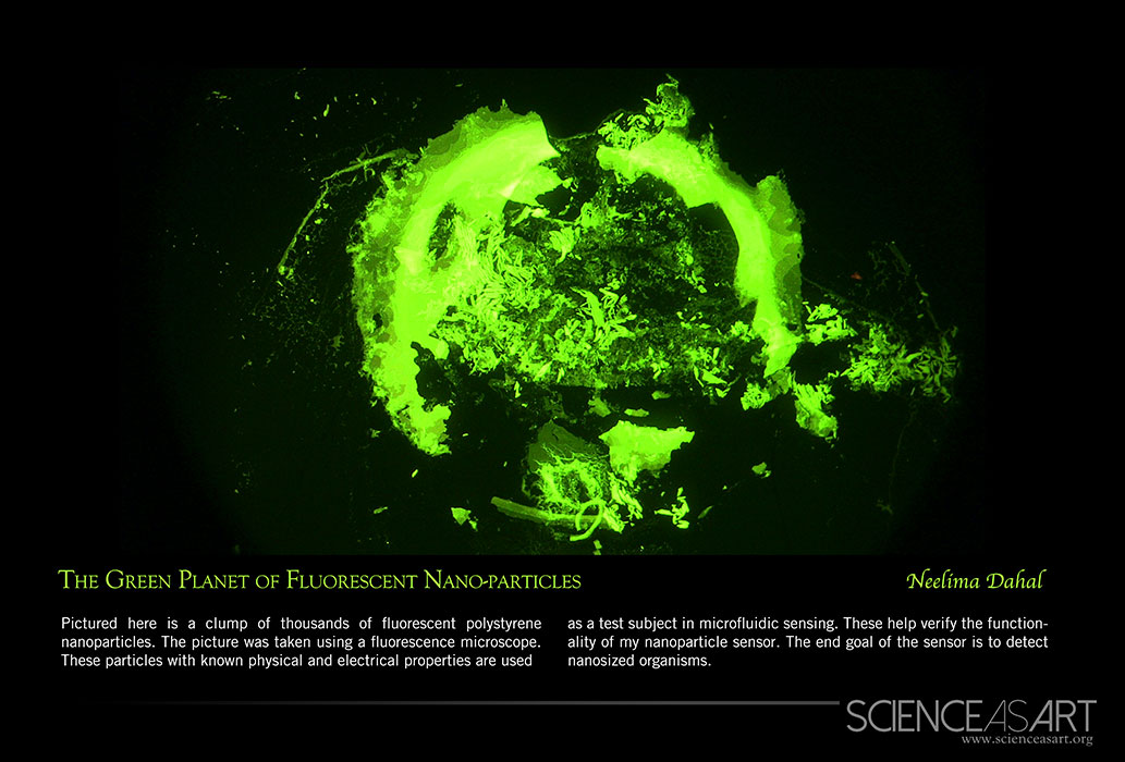 Fluorescent polystyrene nanoparticles