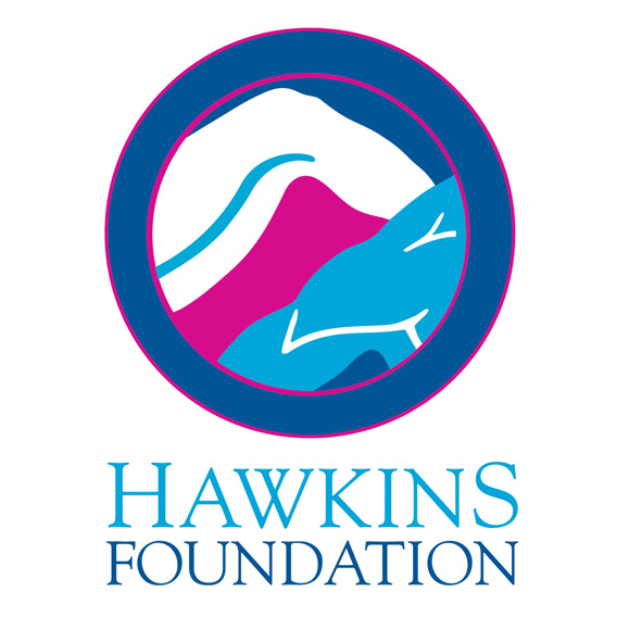 Hawkins logo