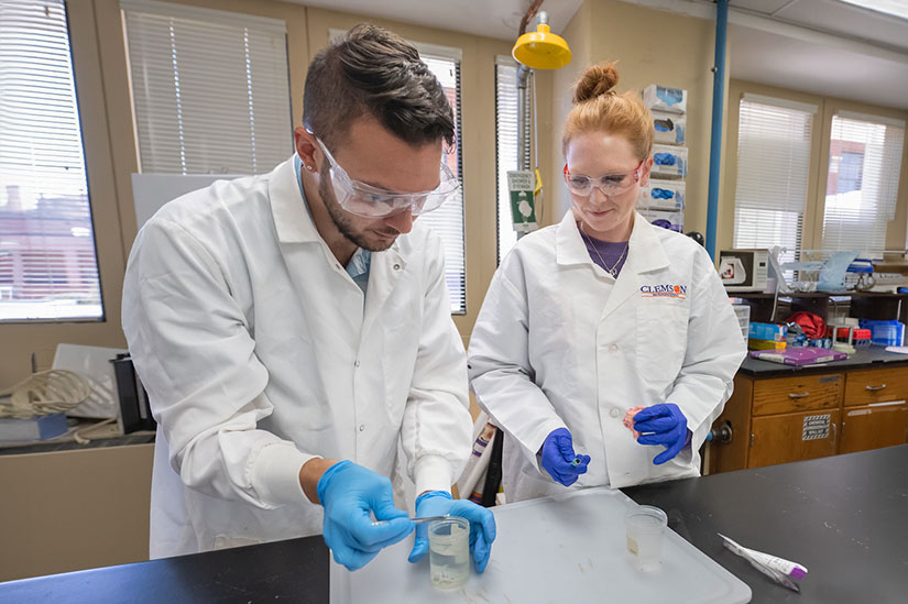 Male and female students in lab