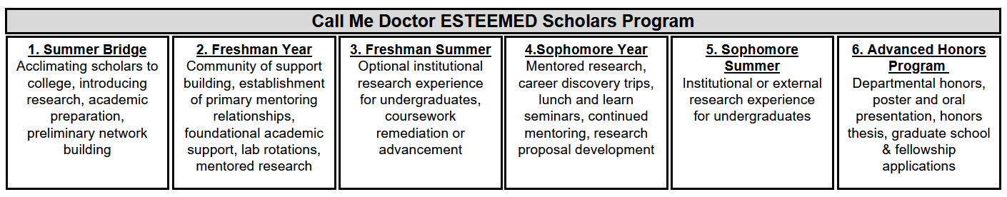 Program Overview