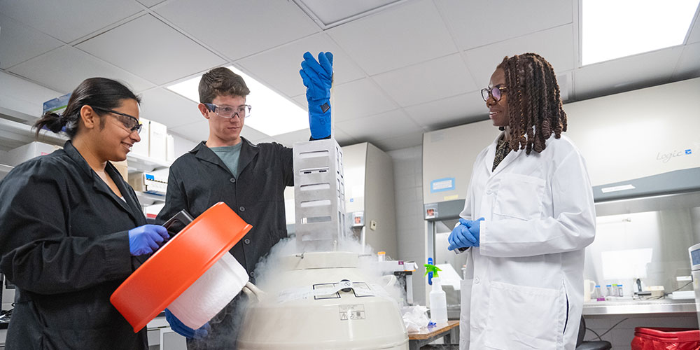 Students in lab with Renee Cottle