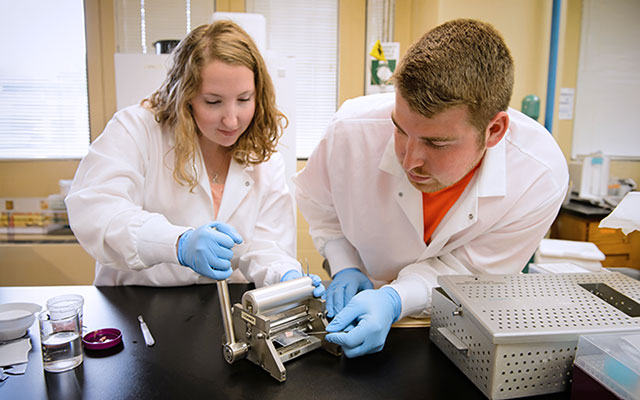 Two students in the lab working in tendon research
