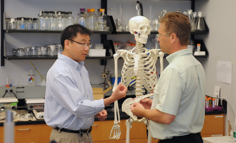 Hai Yao, the Ernest R. Norville Endowed Chair of bioengineering at Clemson University