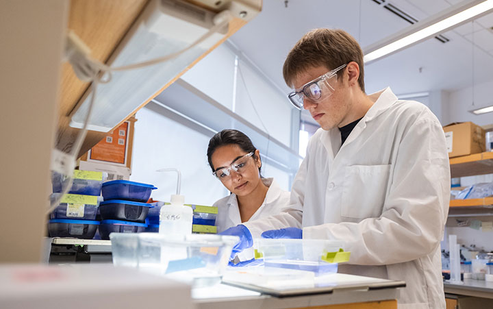 Two students in protect eye wear actively performing research in the lab on campus.