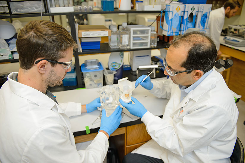 Lab at SC BioCRAFT facility