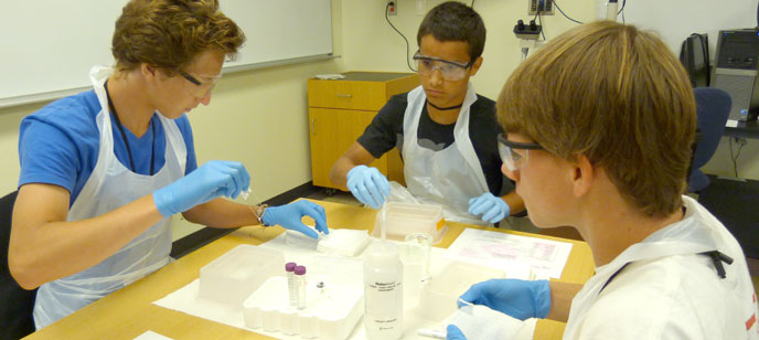 Summer Research for High School Students in Bioengineering at Clemson