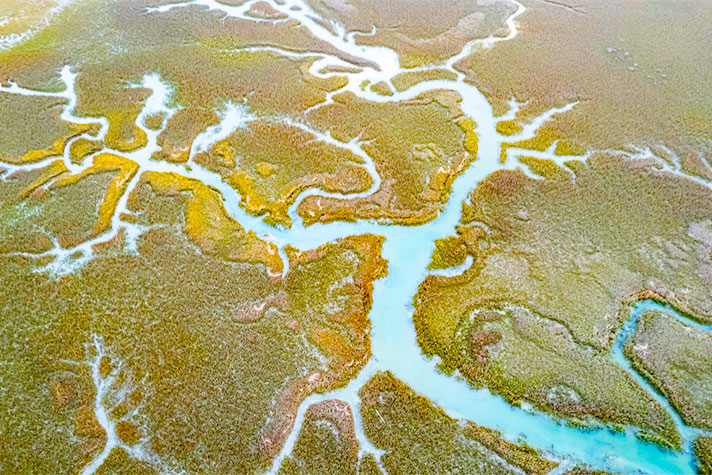 Aerial view of Lowcountry SC salt marsh water system.