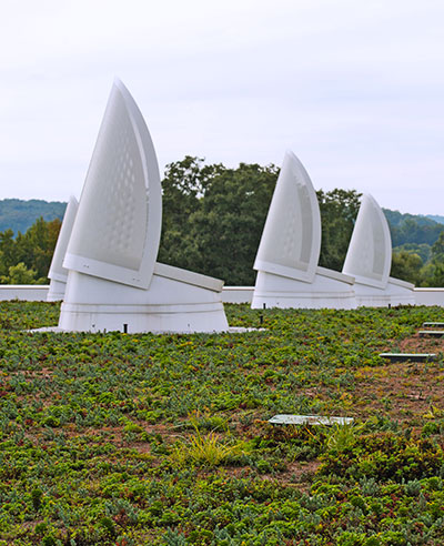 Green roof system atop Lee Hall.