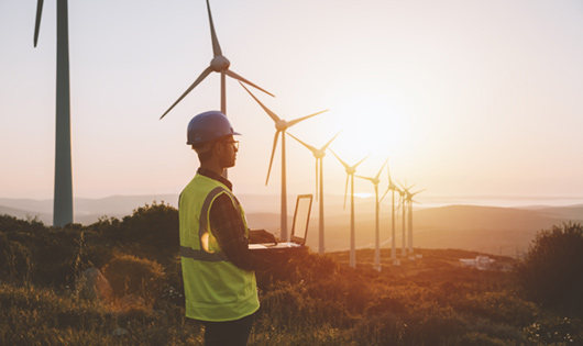 An engineer monitors the operation of a wind farm.