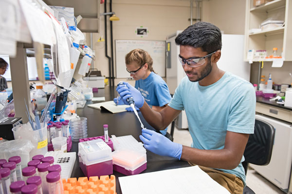 Students in the lab working on research