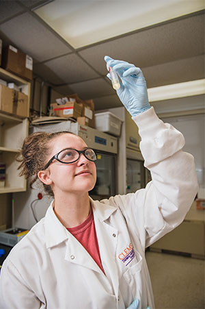 Female student in lab viewing test tube.