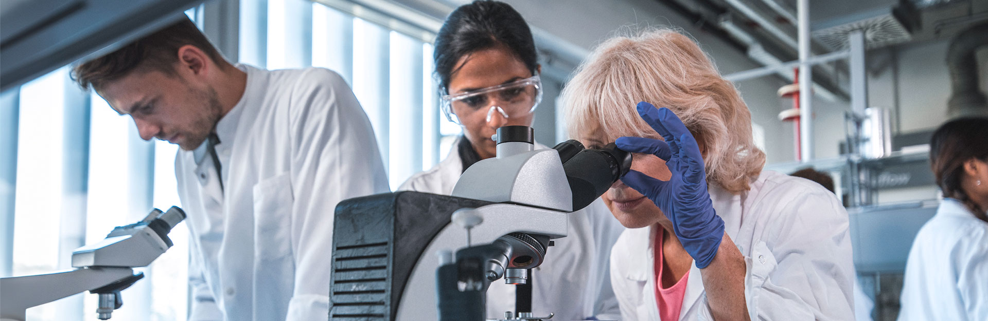 Inside a chemical engineering research lab