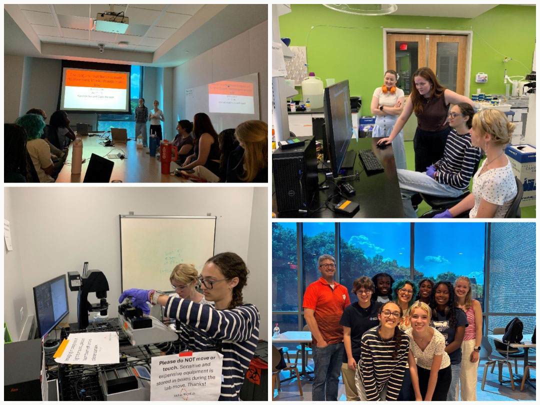 Classroom outreach collage with students and teachers completing an activity together.