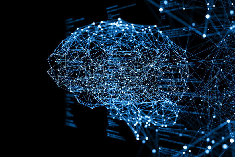 Network brain