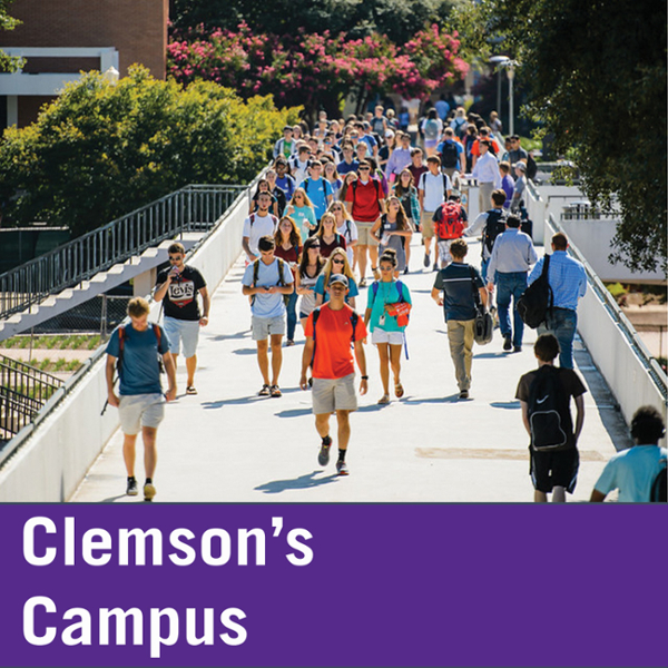 Clemson campus