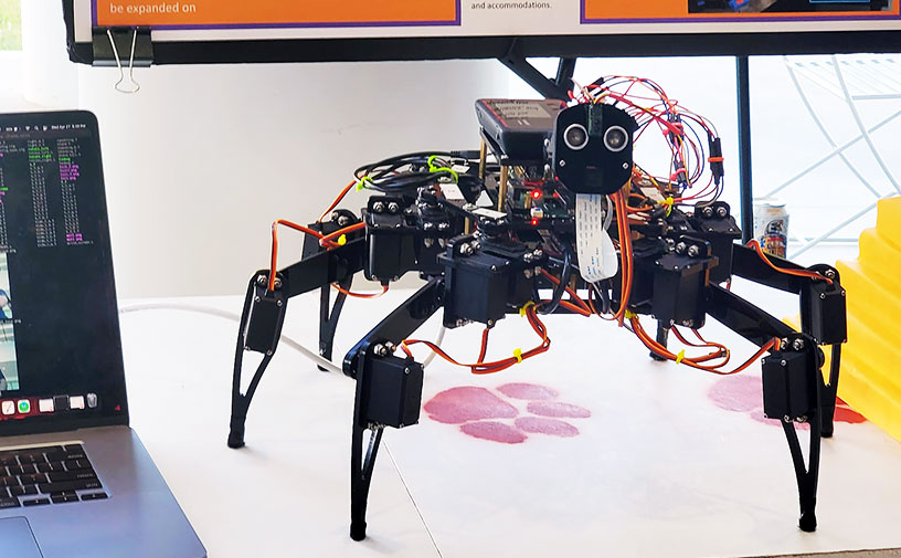 Hex robot created for student project