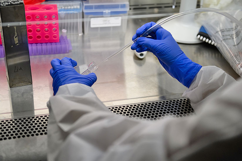 Person working under hood in lab