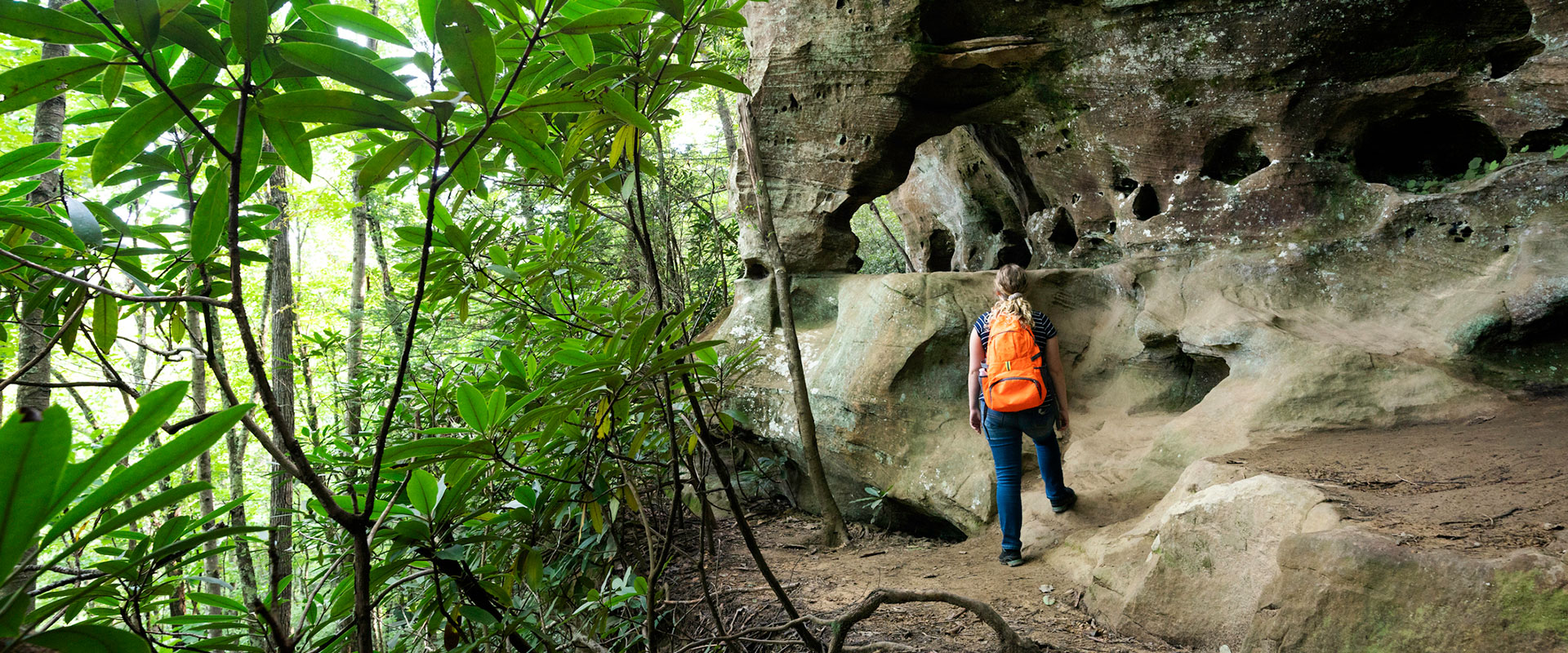 Female student with orange backpack, gazing up at rocks in Red Rover Gorge, KY