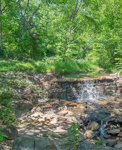 Clemson Experimental Forest provides research opportunities close to campus.