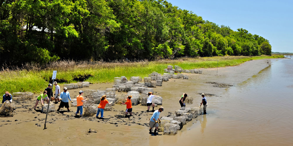 Student creative inquiry project held along the SC coast.